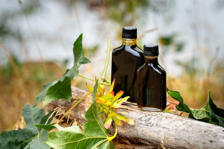Major Breakthrough in MAPLE SYRUP research
