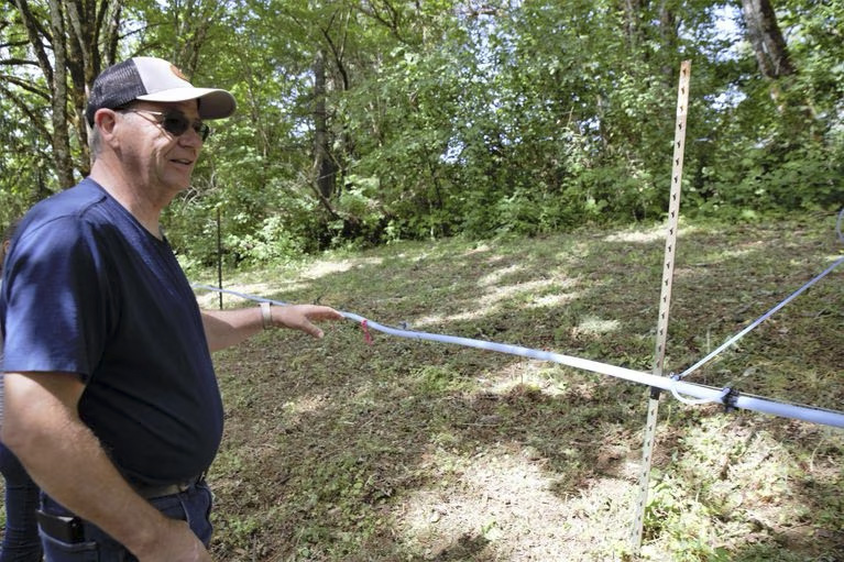 Dan Caldwell checking sap lines on a stand of bigleaf maples in Sheridan, Oregon