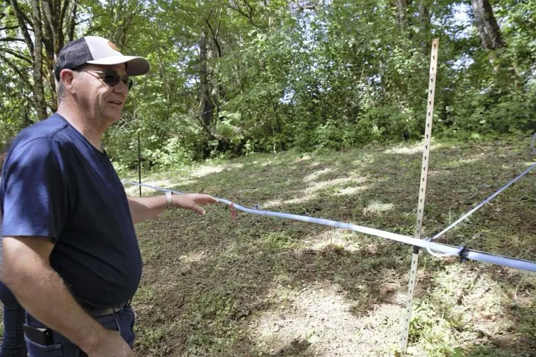 Dan Caldwell checking sap lines on a stand of bigleaf maples in Sheridan, Oregon