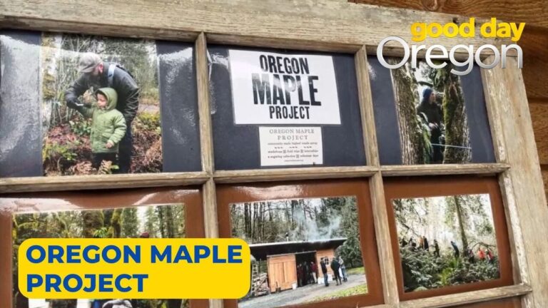 Oregon Maple Project sign and photos in a wooden window frame, from a Good Day Oregon segment