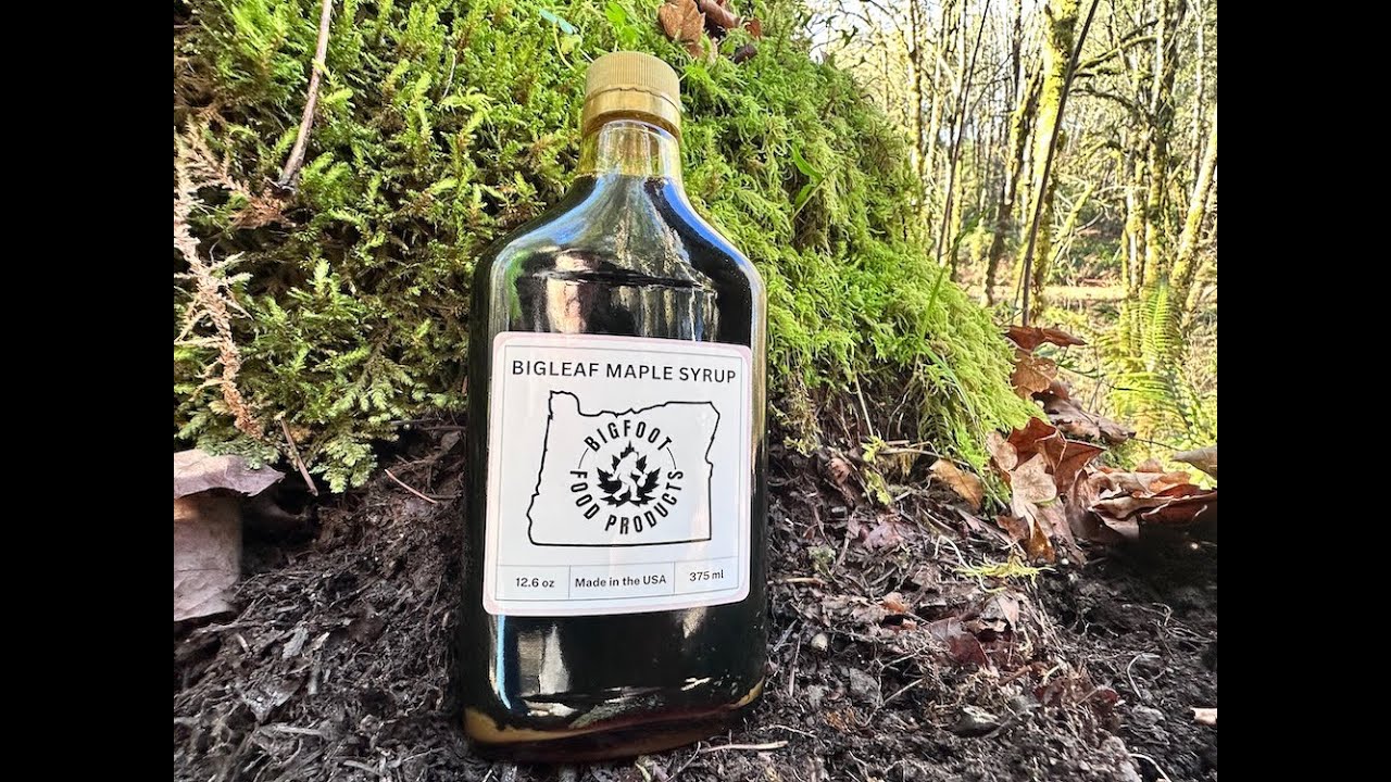 Bottle of Bigfoot Bigleaf Maple Syrup standing on mossy forest floor